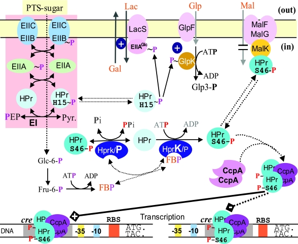 FIG. 6.