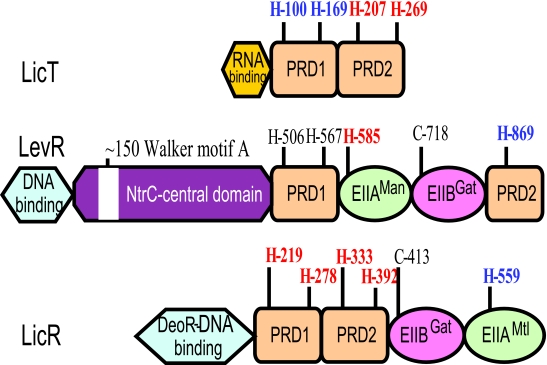 FIG. 7.