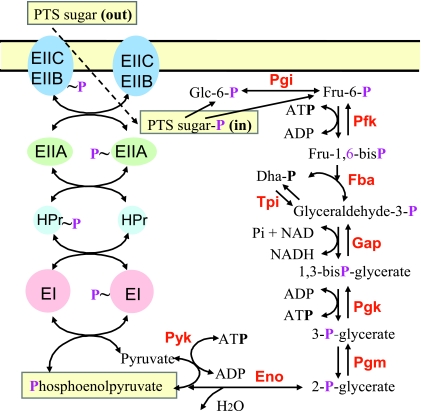 FIG. 1.