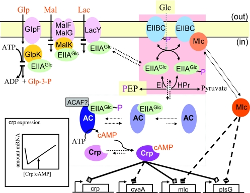 FIG. 2.