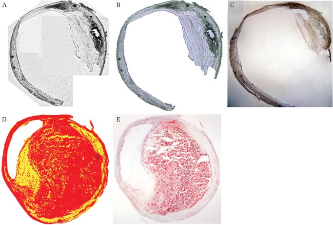 Fig. 3.