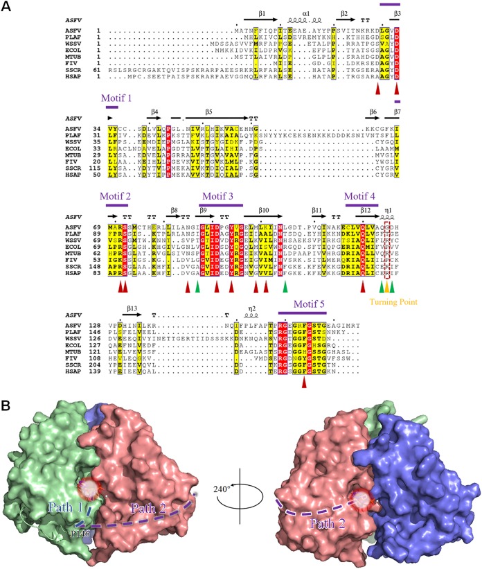 FIG 2