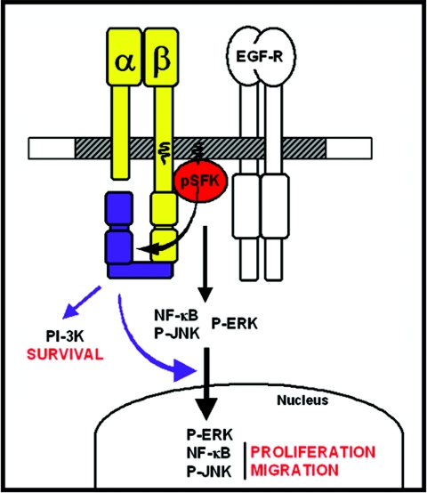 FIG. 8.