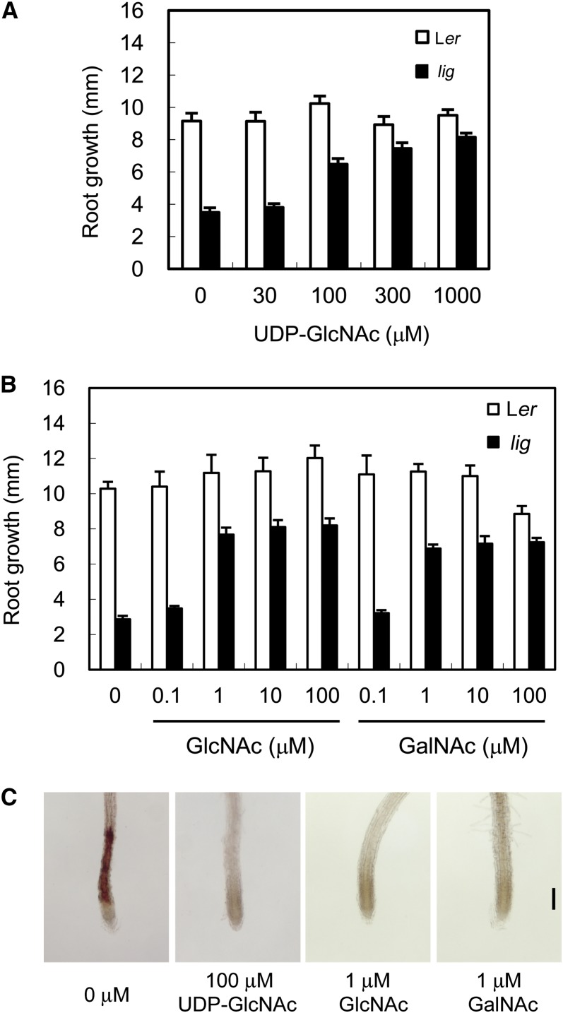 Figure 10.