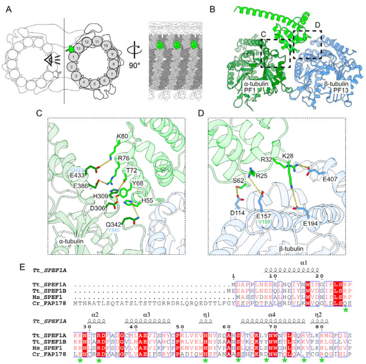 Figure 5: