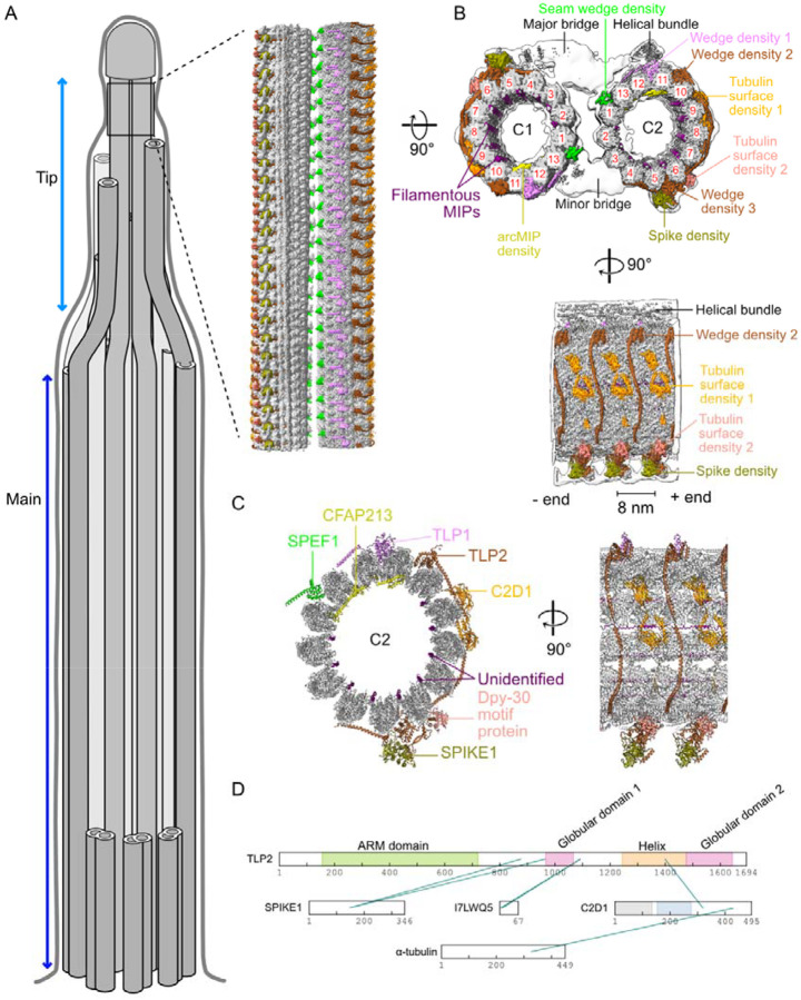 Figure 1: