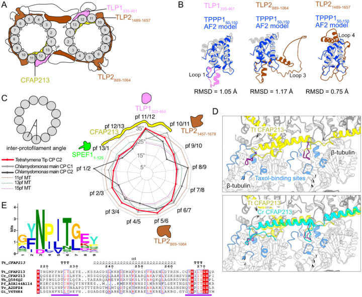 Figure 4: