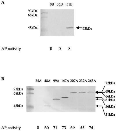 FIG. 7.