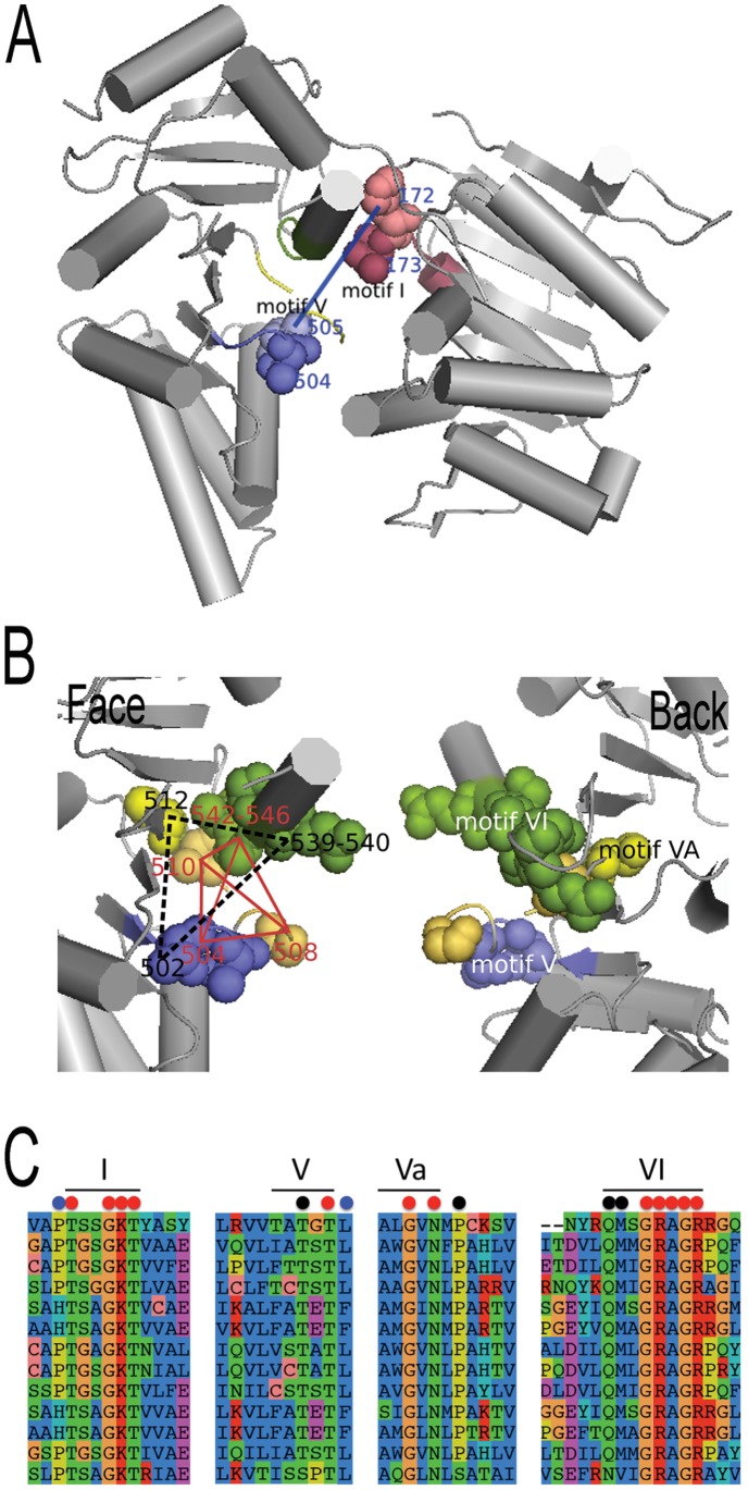 Figure 6