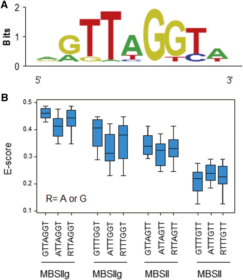 Figure 10.