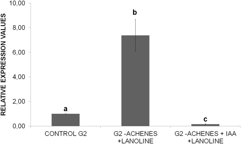 Figure 5.