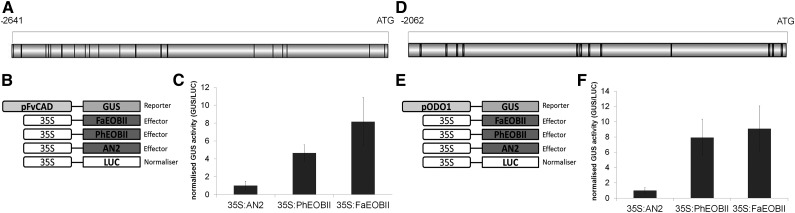 Figure 9.