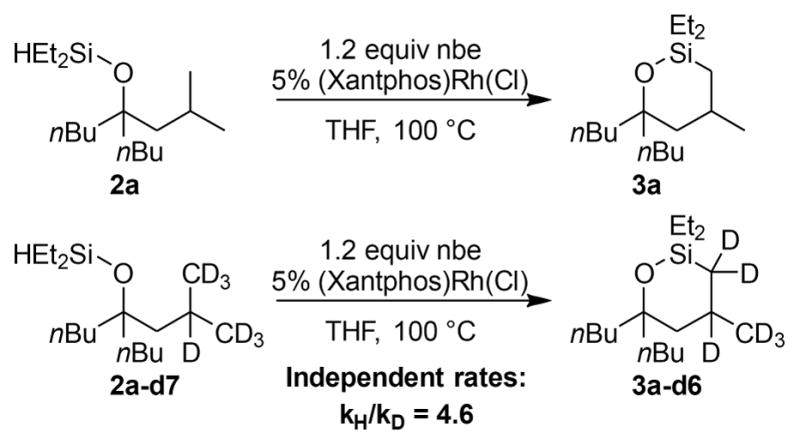 Scheme 4