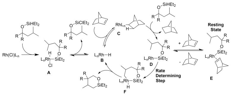 Scheme 5