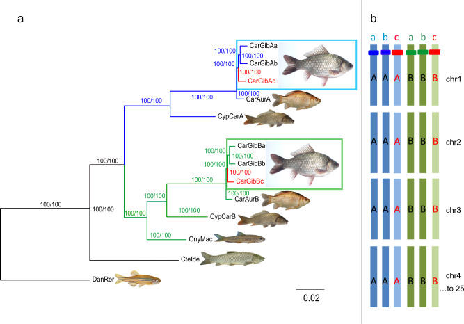 Fig. 2