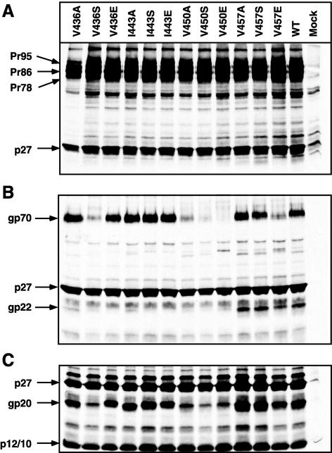 FIG. 3.