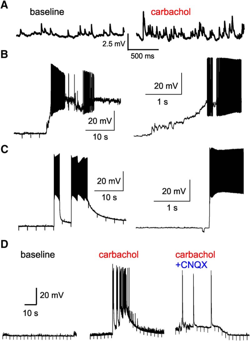 Figure 12.