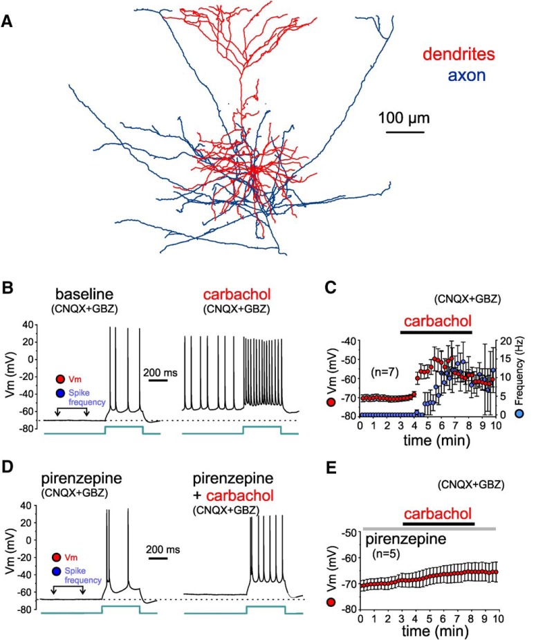 Figure 10.