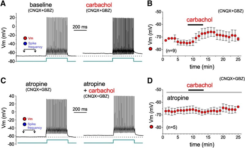 Figure 11.