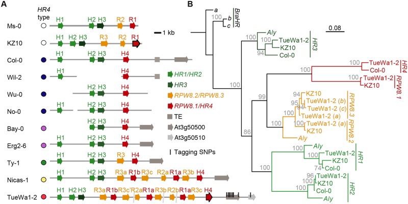 Fig 4