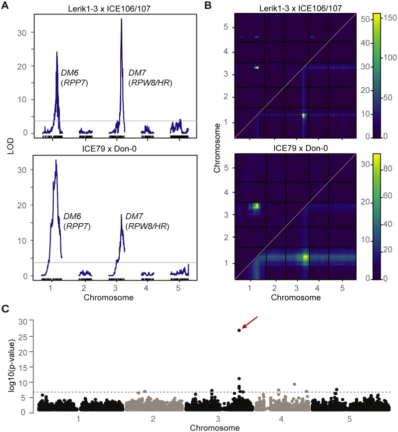 Fig 2