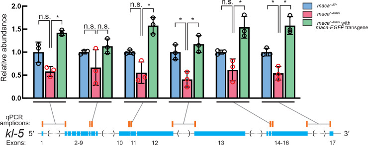 Fig 11