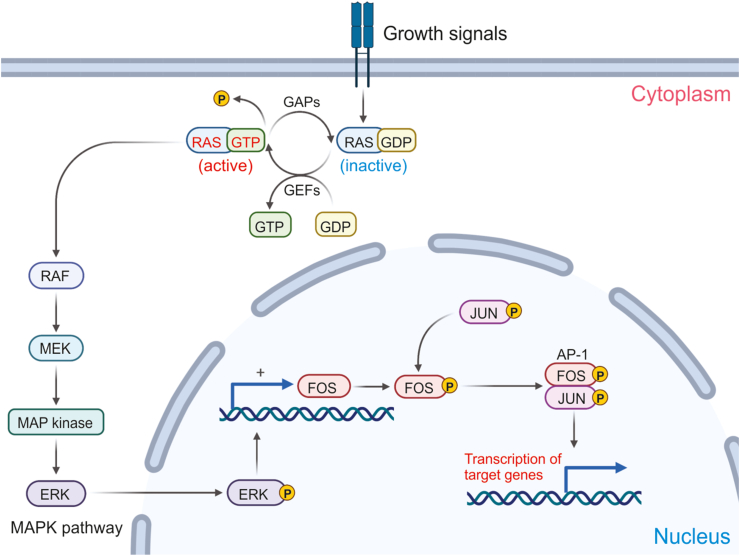 Figure 4