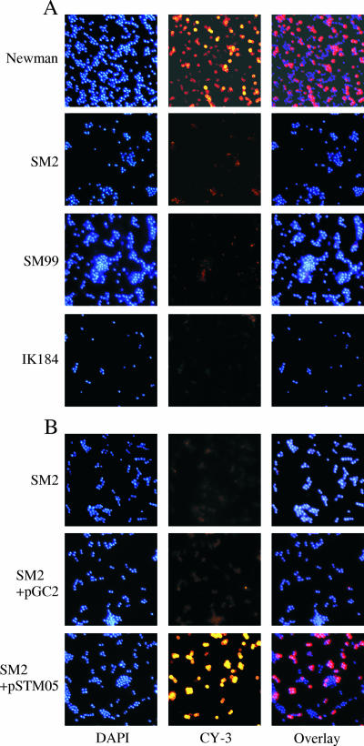 FIG. 7.