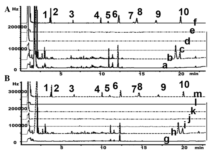 Figure 7.