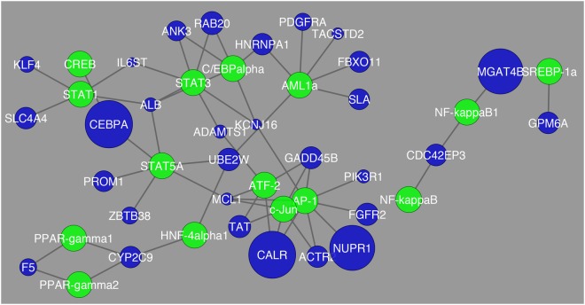 Figure 5