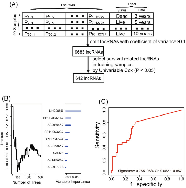 FIGURE 1