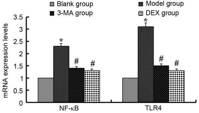 Figure 3.