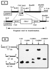 FIG. 5