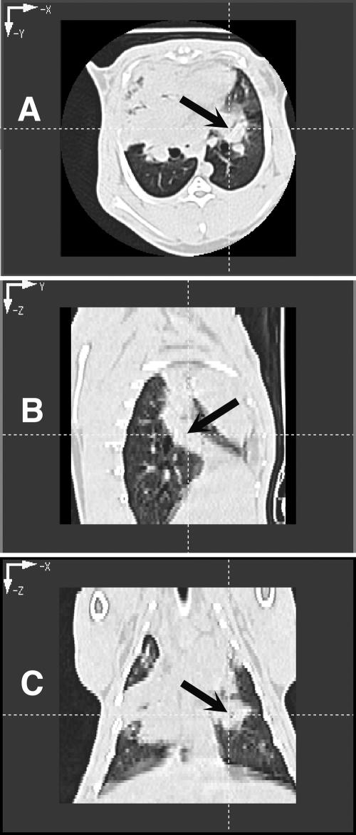 FIG. 2.