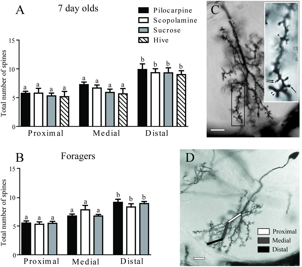 Fig 10