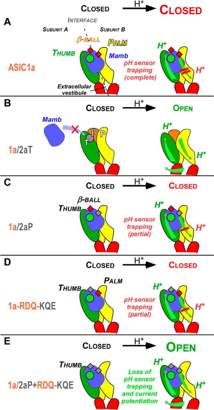 FIGURE 7.