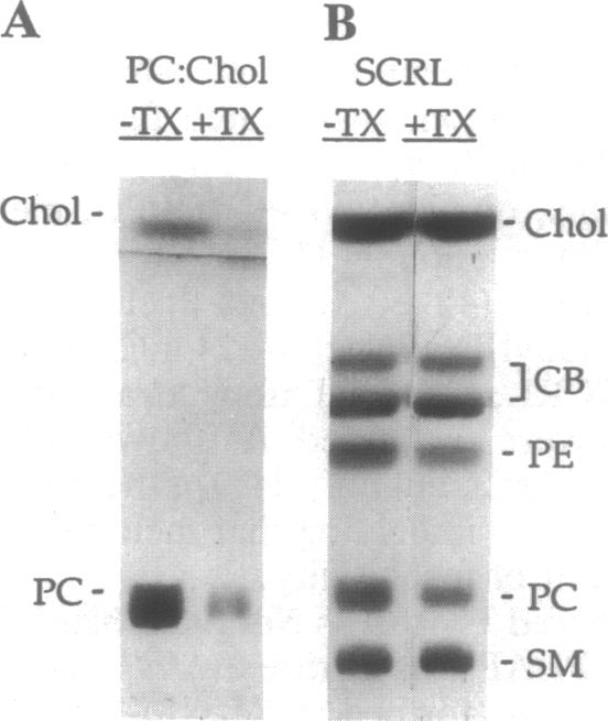 graphic file with name pnas01147-0372-a.jpg