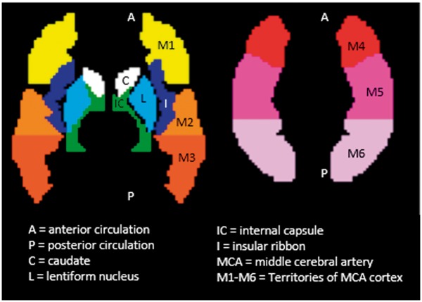 Figure 1.