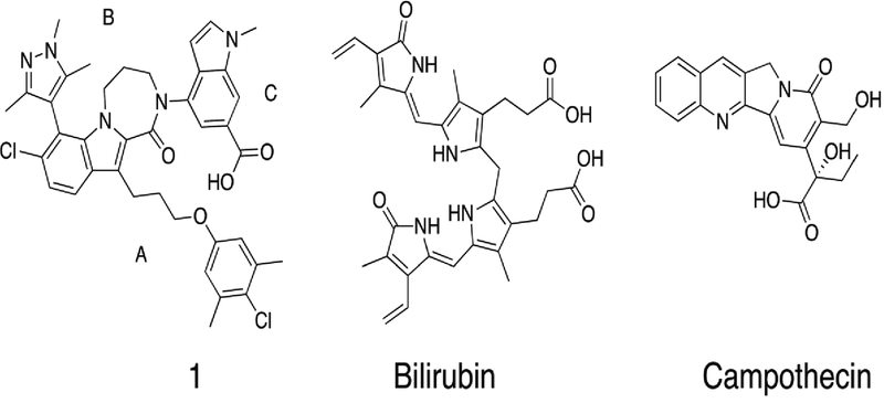 Figure 1.