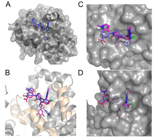 Figure 4.