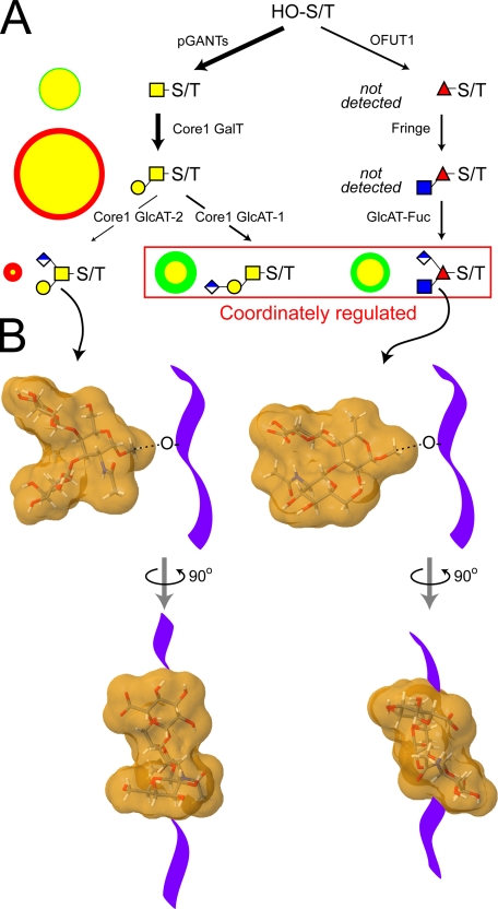 FIGURE 9.