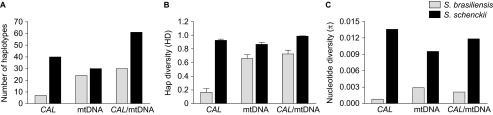 Figure 6