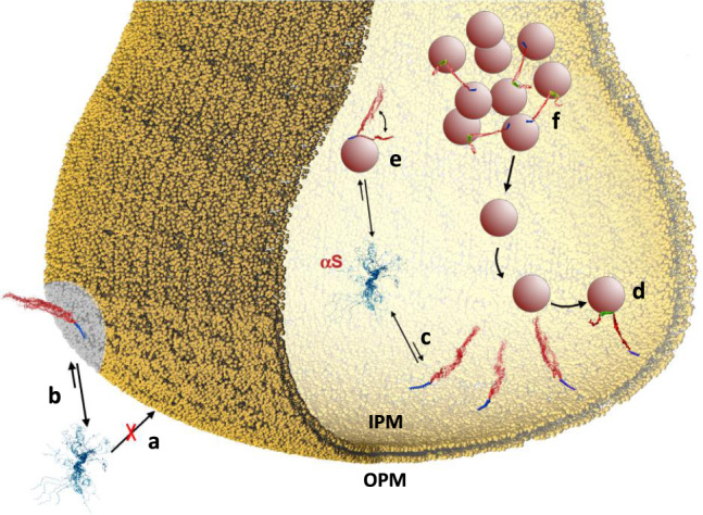 Fig. 4