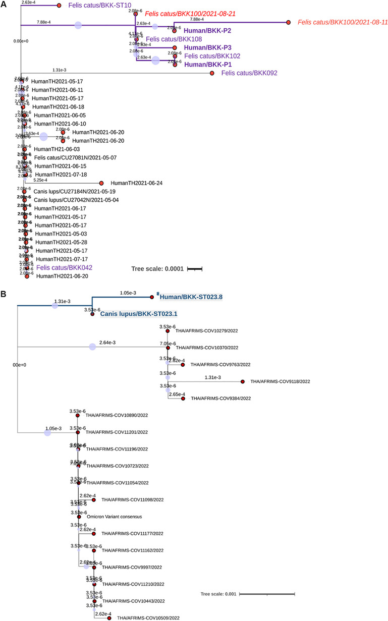 FIG 4