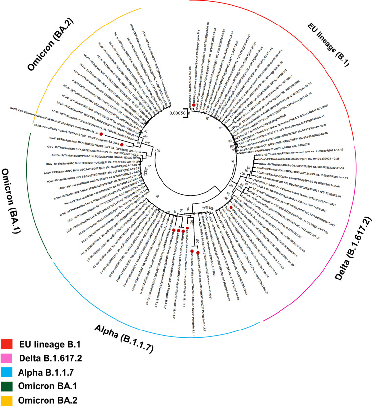 FIG 2