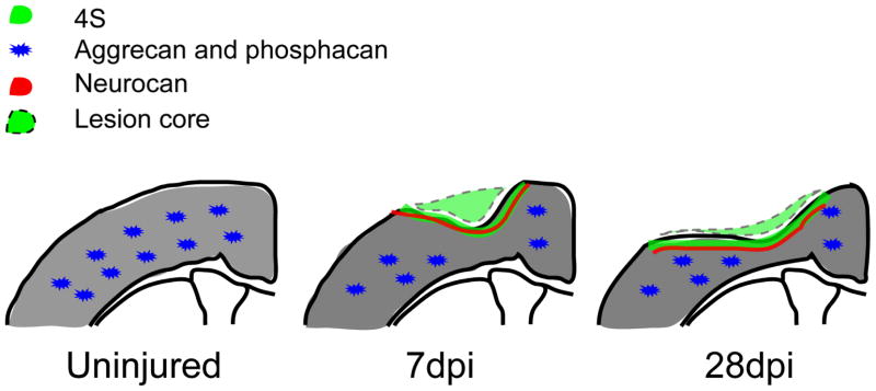 Fig. 9