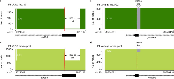 Fig. 7