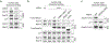 Extended Data Figure 2.