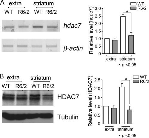 FIGURE 10.