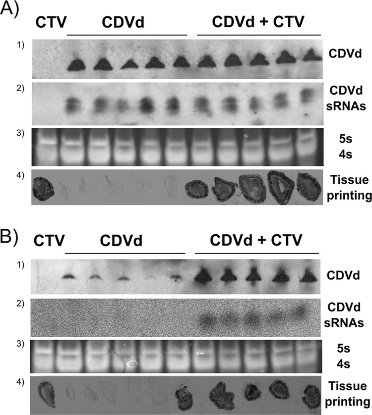 FIG 3